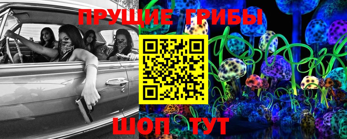 Красногорск  Псилоцибиновые грибы Psilocybine cubensis  Вход с VPN 